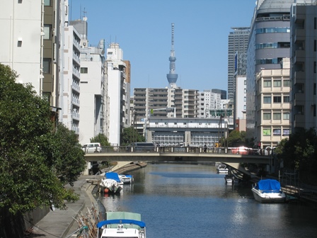 �T�������猩���X�J�C�c���[