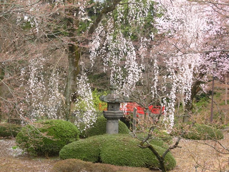 �쑽�@�������