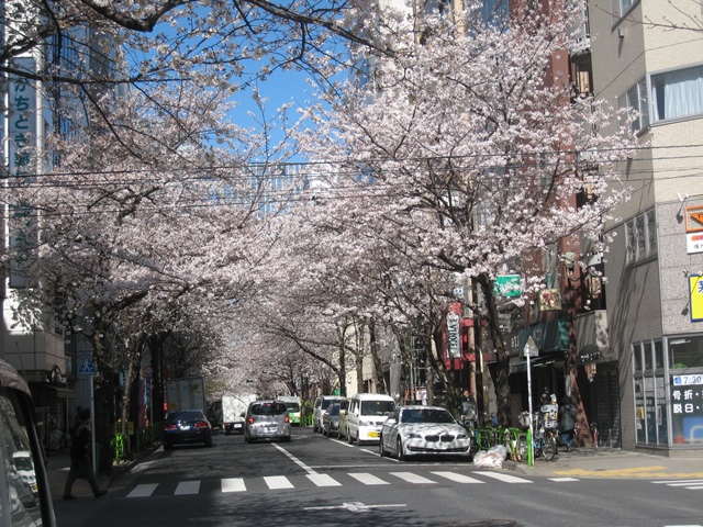 ������ʂ�